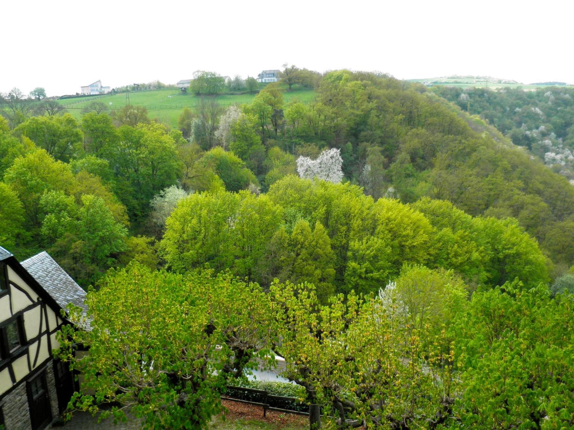 Burghotel Auf Schoenburg Oberwesel Habitación foto